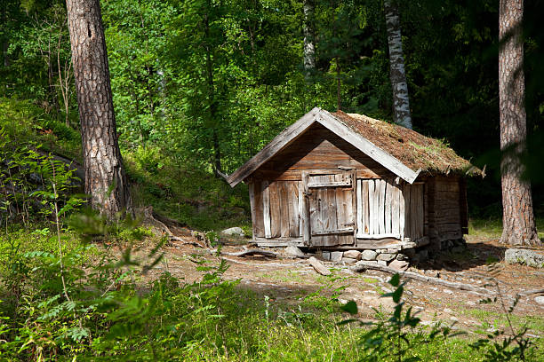 istock House of forester 147313361