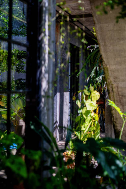 istock Clutered Concrete Building Covered with Plants In the Morning 1473138152