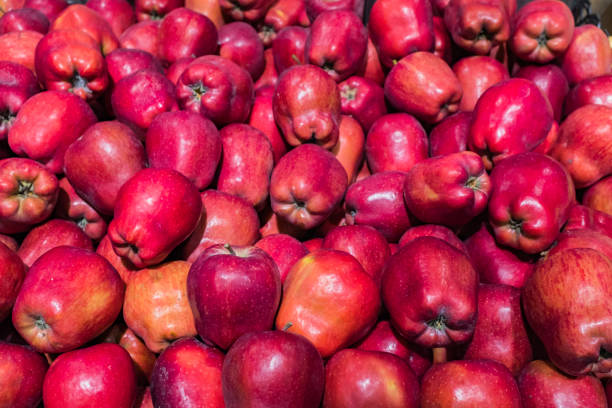 rote äpfel auf einem markt - apfelsorte red delicious stock-fotos und bilder