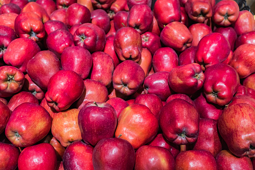 Red Apples At Market
