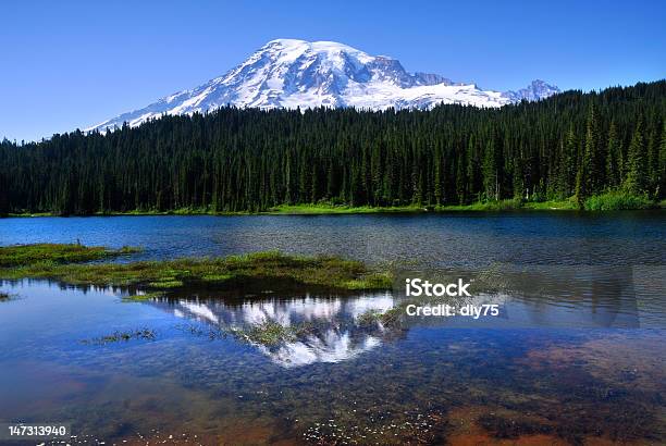 Monte Rainier Vista Do Lago Reflection - Fotografias de stock e mais imagens de Ao Ar Livre - Ao Ar Livre, Azul, Beleza
