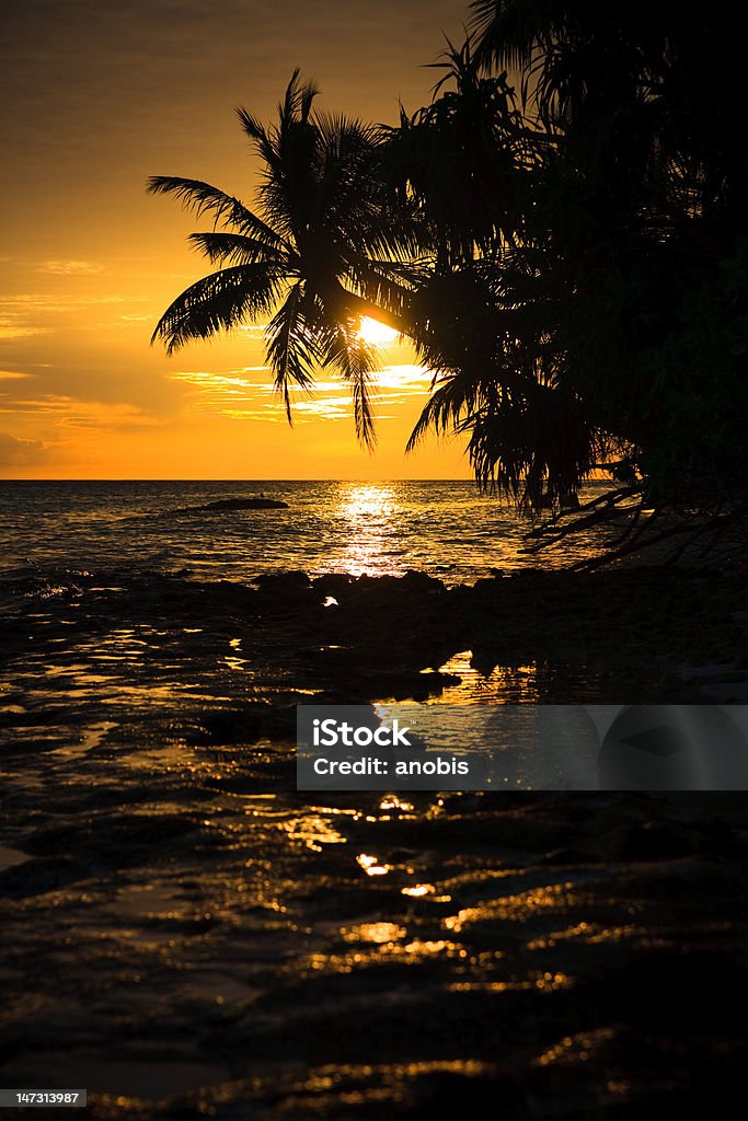 Coucher de soleil sur les Maldives - Photo de Arbre libre de droits