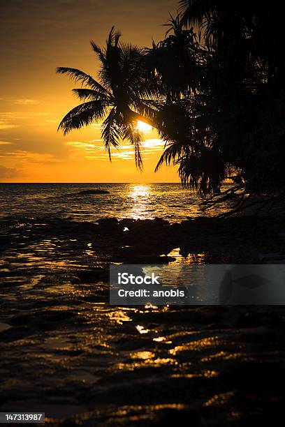 Maldivian Pôr Do Sol - Fotografias de stock e mais imagens de Ambiente dramático - Ambiente dramático, Ao Ar Livre, Areia