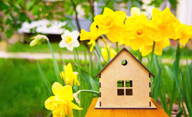 istock Miniature House Amongst Daffodil Blossoms 1473139900
