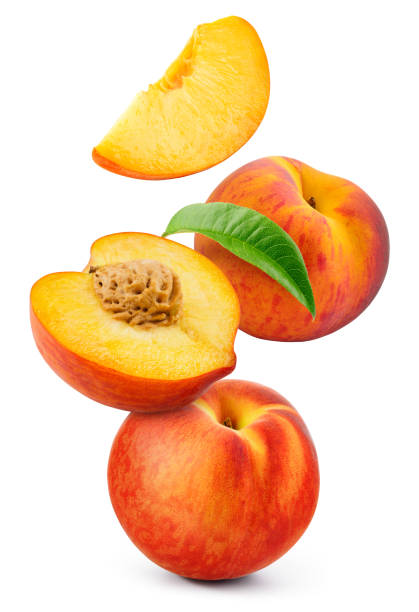 istock Peach isolated. Whole peach flying with a slice on white background. Falling peach fruit with leaf and cut pieces. Full depth of field. 1473140648