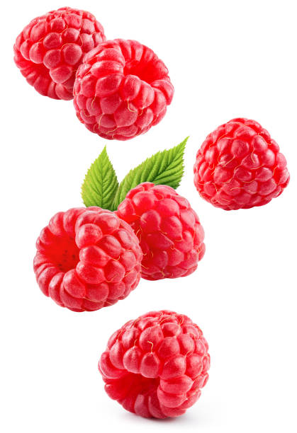 raspberry isolated. red raspberries with green leaf isolate on white background. raspberry with leaves flying collection. full depth of field. - ahududu stok fotoğraflar ve resimler
