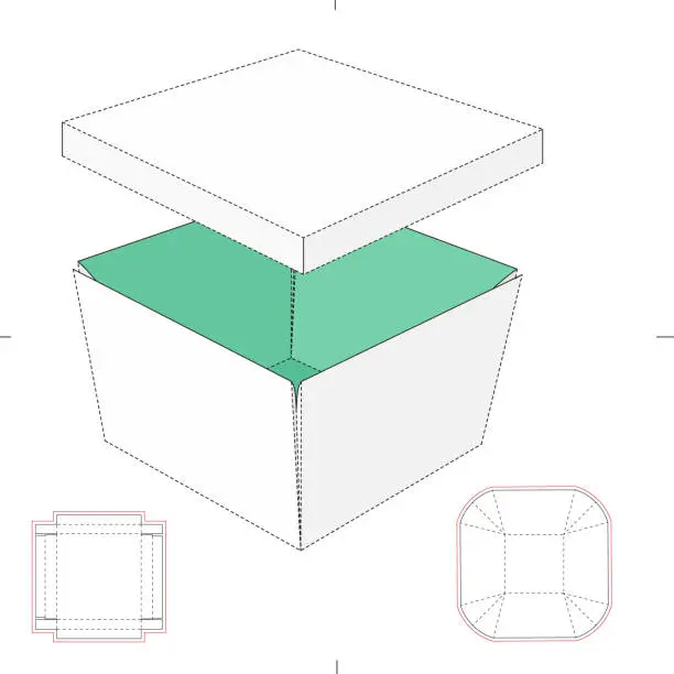 Vector illustration of Custom Retail Box with Lid and Tray