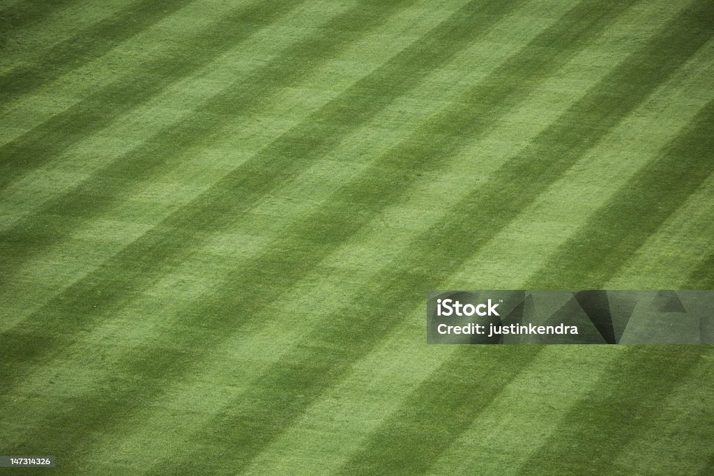 Stadio di Baseball in erba - Foto stock royalty-free di Baseball