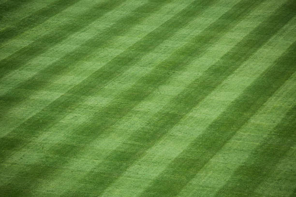 Baseball Stadium Grass Horizontal shot of manicured outfield grass at a baseball stadium. turf photos stock pictures, royalty-free photos & images