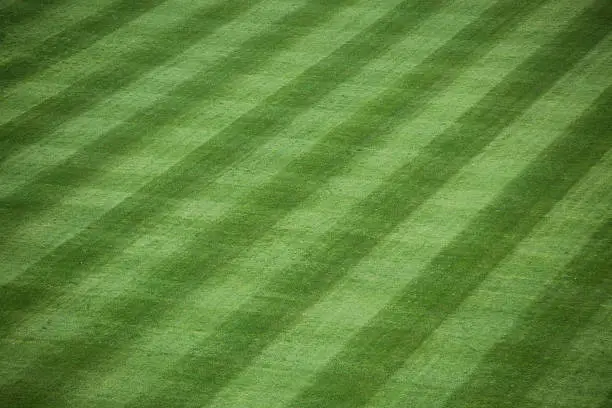 Horizontal shot of manicured outfield grass at a baseball stadium.