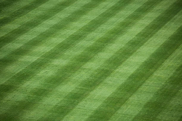 estádio de basebol de relva - sod field imagens e fotografias de stock