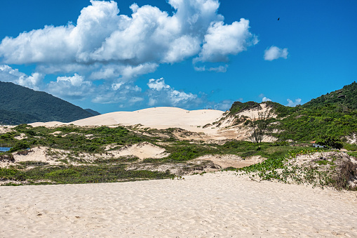 Joaquina beach with stone and dunes in Florianopolis, Santa Catarina, Brasil. Praia da Joaquina is a beach in Florianopolis.
