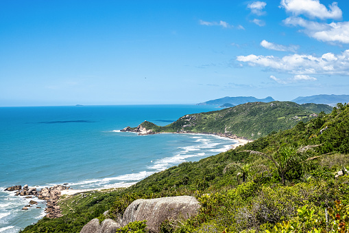 Vegetation , rocks and beach at Galheta beach, Morro da Galheta, Florianopolis, Santa Catarina, Brazil