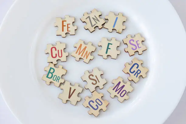 Photo of Set of puzzles on a plate with 13 essential micronutrients with multicolored inscriptions icons. Fe, Zn, I, Cu, Me, F, Se, Bor, Si, Cr, V, Co, Mo. Biologically important elements. The concept of healthy nutrition and health