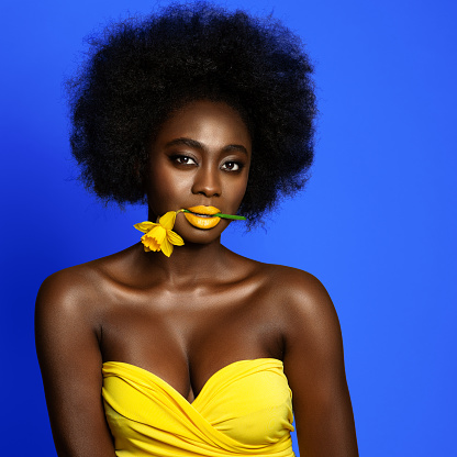 Woman Beauty with Afro Hairstyle and Yellow Lipstick Make up over Blue Studio background. Dark Skin African Girl holding Spring Flower in Mouth. Women Makeup and Cosmetology