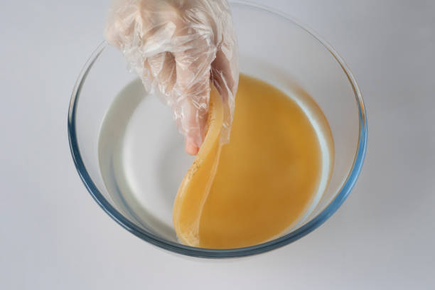 una persona mette uno scoby o un fungo in una ciotola d'acqua di vetro per lavare il fungo del tè per la fermentazione. preparare una sana bevanda kombucha. - kombu foto e immagini stock