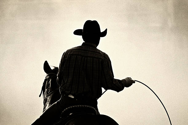 rodeo cowboy - rodeo foto e immagini stock