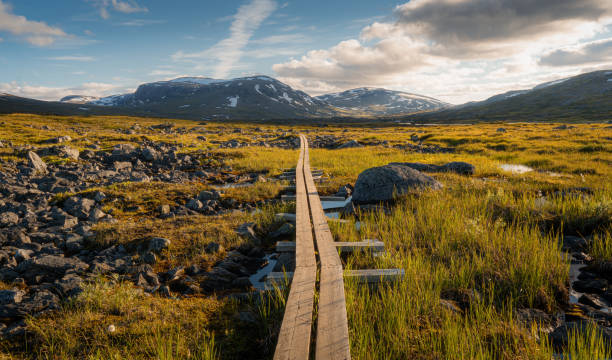 Hiking Trail Wooden Path Kungsleden Sweden Lapland 'Kungsleden', also know as The King's Trail is an approximately 440km long hiking trail in Swedens most northern landscape; Lapland. It passes through vast valleys, mountain passes and rivers and is one of the most scenic hikes in the country. norrbotten province stock pictures, royalty-free photos & images