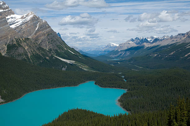 istock Lake Peyto from above 147314856