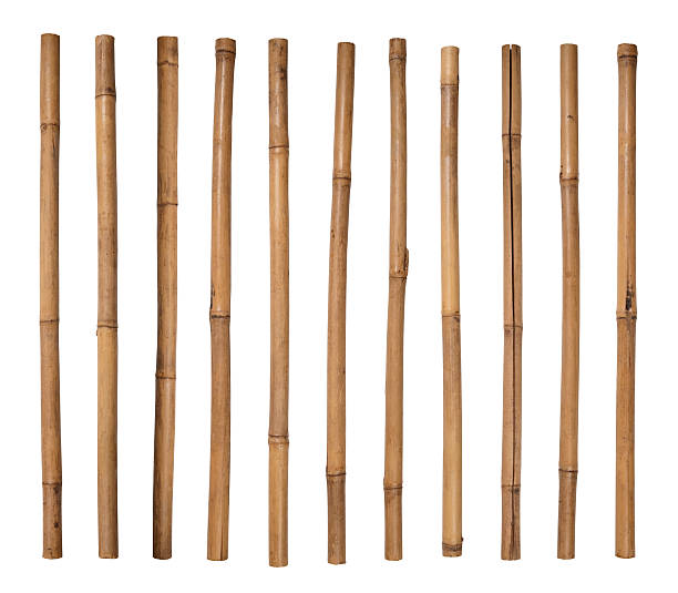Stack of bamboo sticks lined up side by side Bamboo sticks on white background bamboo material photos stock pictures, royalty-free photos & images