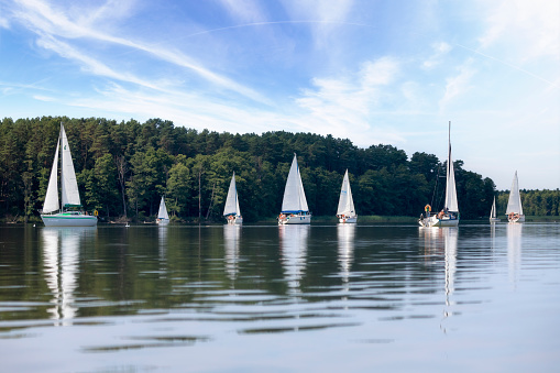 Sailboats on the blue water of Grand Traverse Bay, Michigan