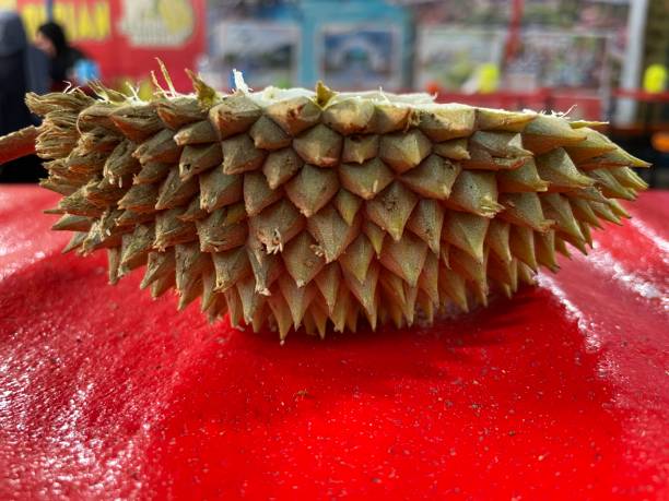 istock Durian skin on the table 1473152573