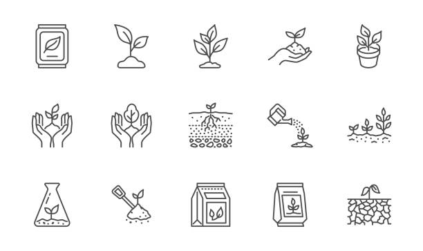 Plant growing line icons set. Spring growth stage, seeds, seedling, drought, soil testing, agriculture vector illustration. Outline signs for gardening. Editable Stroke Plant growing line icons set. Spring growth stage, seeds, seedling, drought, soil testing, agriculture vector illustration. Outline signs for gardening. Editable Stroke. hands holding plant soil stock illustrations