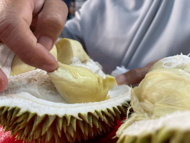 istock Durian fruit from Indonesia 1473155858