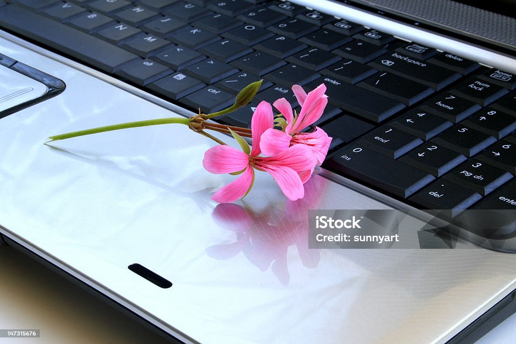 Blumen auf der Tastatur - Lizenzfrei Abstrakt Stock-Foto