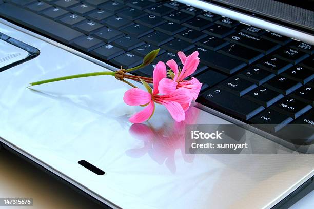 Blumen Auf Der Tastatur Stockfoto und mehr Bilder von Abstrakt - Abstrakt, Aluminium, Bildung