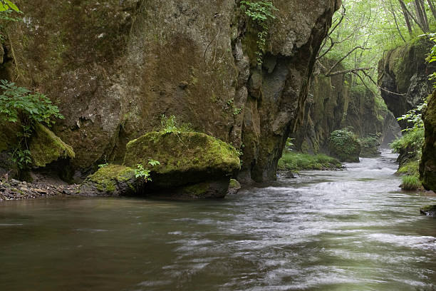 corrente no vale - hokkaido japan stream forest imagens e fotografias de stock