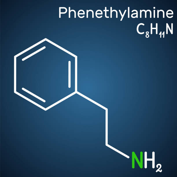 illustrazioni stock, clip art, cartoni animati e icone di tendenza di fenetilamina, molecola di pea. è un alcaloide monoamminico, stimolante del sistema nervoso centrale negli esseri umani. formula chimica strutturale sullo sfondo blu scuro. - phenethylamine