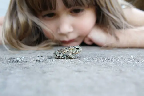 A cute young girl watching a toad on the ground, shallow depth of field with focus on toad