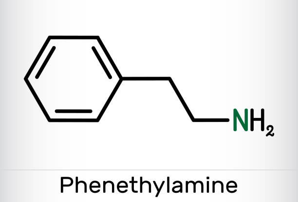 illustrazioni stock, clip art, cartoni animati e icone di tendenza di fenetilamina, molecola di pea. è un alcaloide monoamminico, stimolante del sistema nervoso centrale negli esseri umani. formula chimica scheletrica - phenethylamine