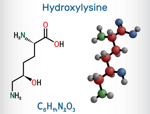 Hydroxylysine, Hyl molecule. It is amino acid, human metabolite. Structural chemical formula and molecule model. Hydroxylysine, Hyl molecule. It is amino acid, human metabolite. Structural chemical formula and molecule model. Vector illustration lysine stock illustrations