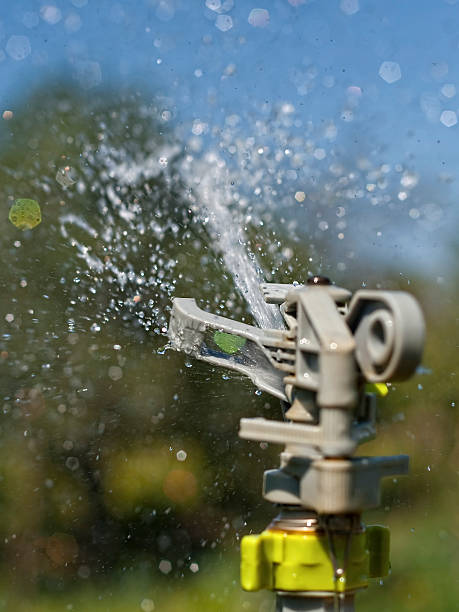 Water sprinkler in action stock photo