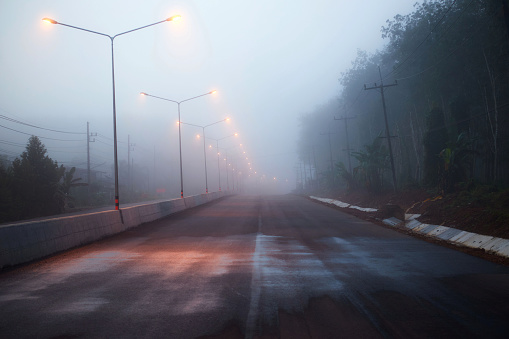 Foggy country road with lamp post and street lights in early morning