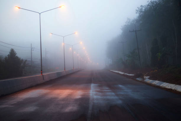 estrada rural nebulosa com poste de luz e luzes de rua no início da manhã - street light fog morning country road - fotografias e filmes do acervo