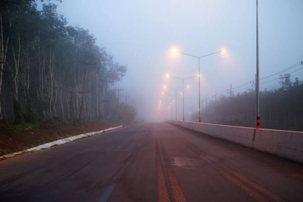 estrada rural nebulosa com poste de luz e luzes de rua no início da manhã - street light fog morning country road - fotografias e filmes do acervo