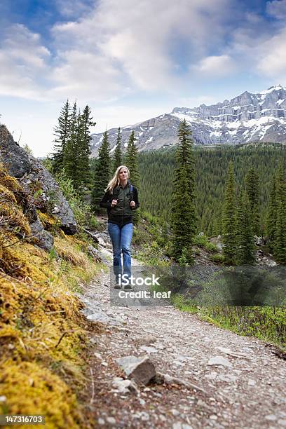 Woman On Trail Stock Photo - Download Image Now - Banff, Banff National Park, Women