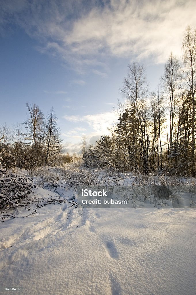 Winter landscape Agricultural Field Stock Photo