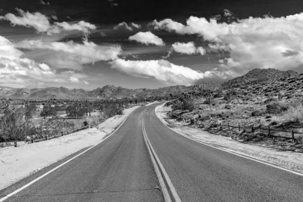 istock landscape with joshua trees in the desert 1473167568