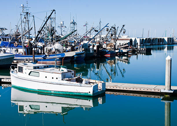 istock White Boat with Green Trim on Calm Blue Water 147316861