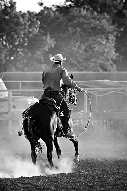 kowboj na rodeo - horseback riding cowboy riding recreational pursuit zdjęcia i obrazy z banku zdjęć