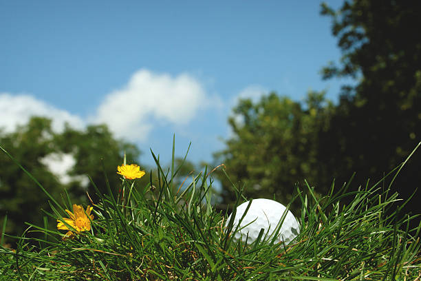 Cтоковое фото Мяч для гольфа mislaid