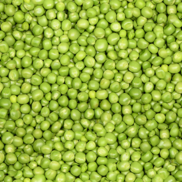 istock Seamless texture or wallpaper, Green wet raw peas vegetable for background. 1473177953