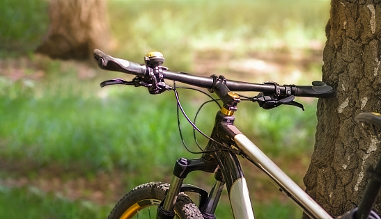 The handlebar of the bike rests on a tree in the forest. An active lifestyle. Selective focus.