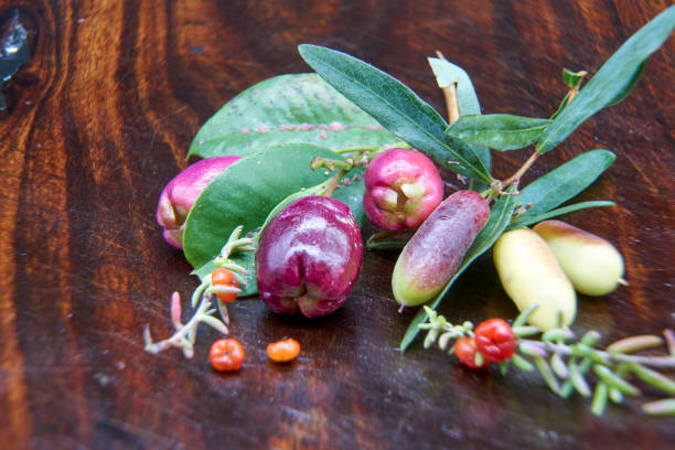 A still life, with Lilly Pilly, Sweet Apple Berry and Ruby Saltbush, plants used a Aboriginal Bush food or tucker.
