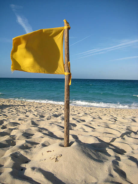 Warning flag Bright yellow warning flag on the beach trishz stock pictures, royalty-free photos & images