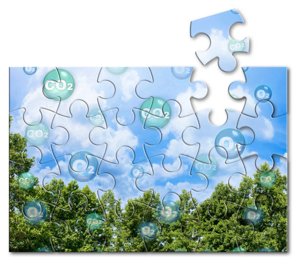 istock Tree canopy against a sky background with oxygen O2 and carbon dioxide CO2 molecules - Carbon dioxide absorption and oxygen release solution concept in jigsaw puzzle shape 1473184386
